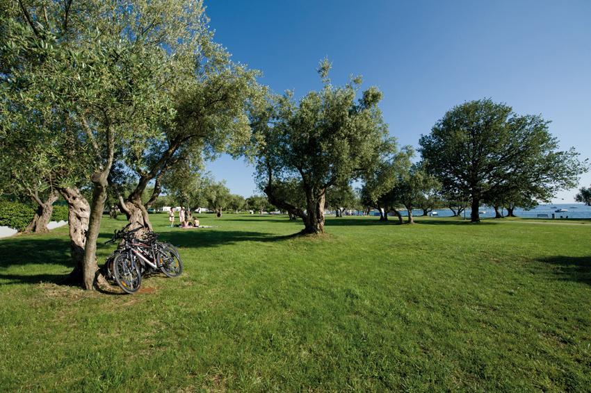 Vacanceselect Premium Lodge Polari Rovigno Esterno foto